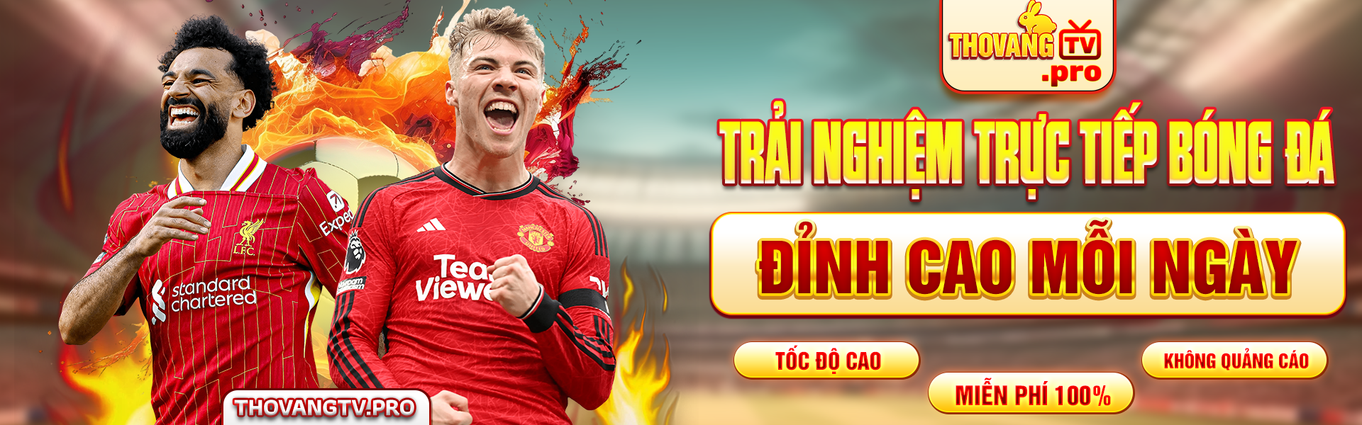 baner thỏ vang tv