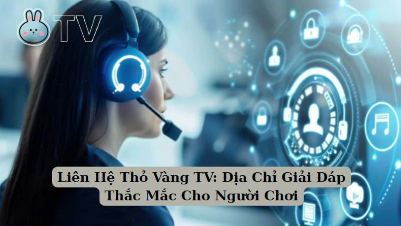 Liên Hệ Thỏ Vàng TV: Địa Chỉ Giải Đáp Thắc Mắc Cho Người Chơi 