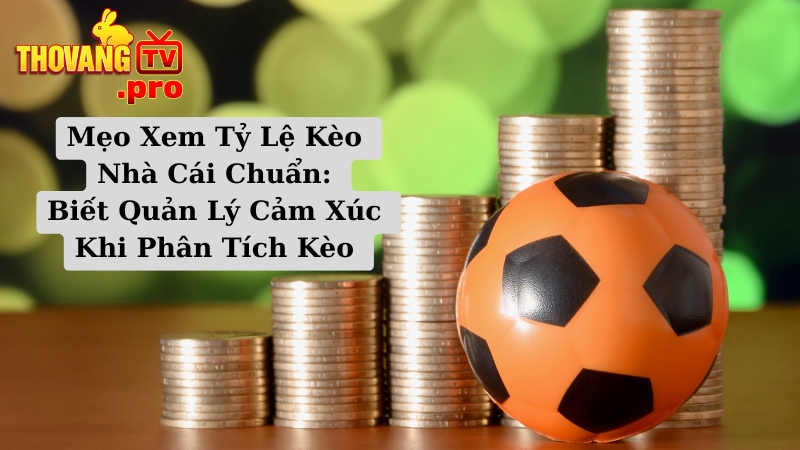 Mẹo Xem Tỷ Lệ Kèo Nhà Cái Chuẩn: Biết Quản Lý Cảm Xúc Khi Phân Tích Kèo 